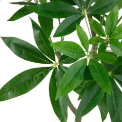 Northlight 4' Artificial Unbraided Potted Green Money Tree -Northlight GUEST fec5ce88 9406 4d1b a61d 799b0ec18f35