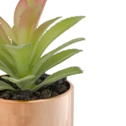 Northlight 5" Green Artificial Aloe Plant In A Rose Gold Pot -Northlight GUEST ff91a300 a789 4e25 9d28 4e492de246f5