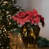 Northlight 14.5" Dark Pink Artificial Christmas Poinsettia With Gold Wrapped Base -Northlight GUEST ffcf3b47 dbc5 40fe bb87 07a9eadd7c83